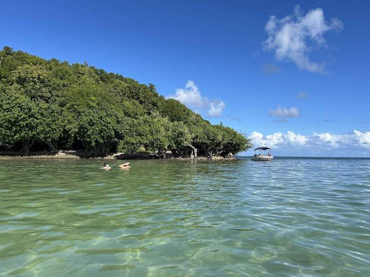 Excursion en catamaran Martinique