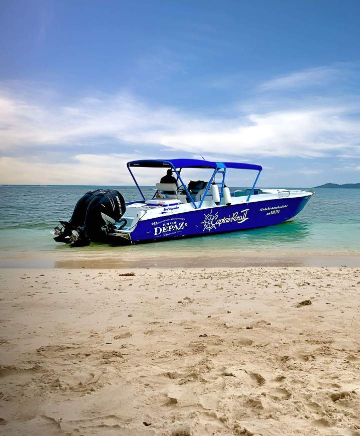 Excursion demi-journée en bateau en catamaran Martinique