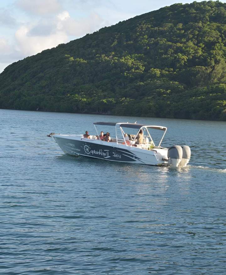 Balade en catamaran Martinique